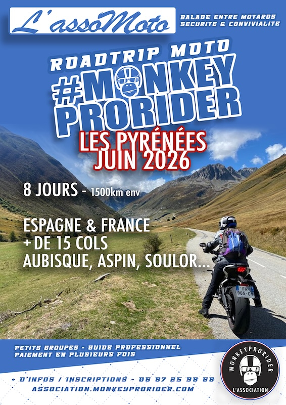 pyrenees-copie